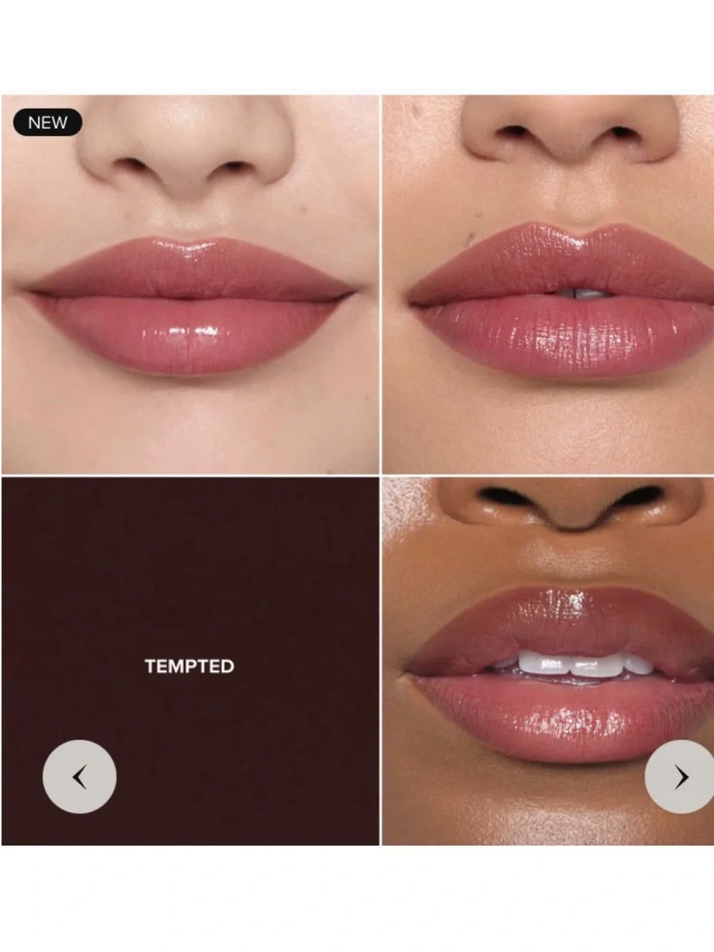 NEW✅ABH Tempted